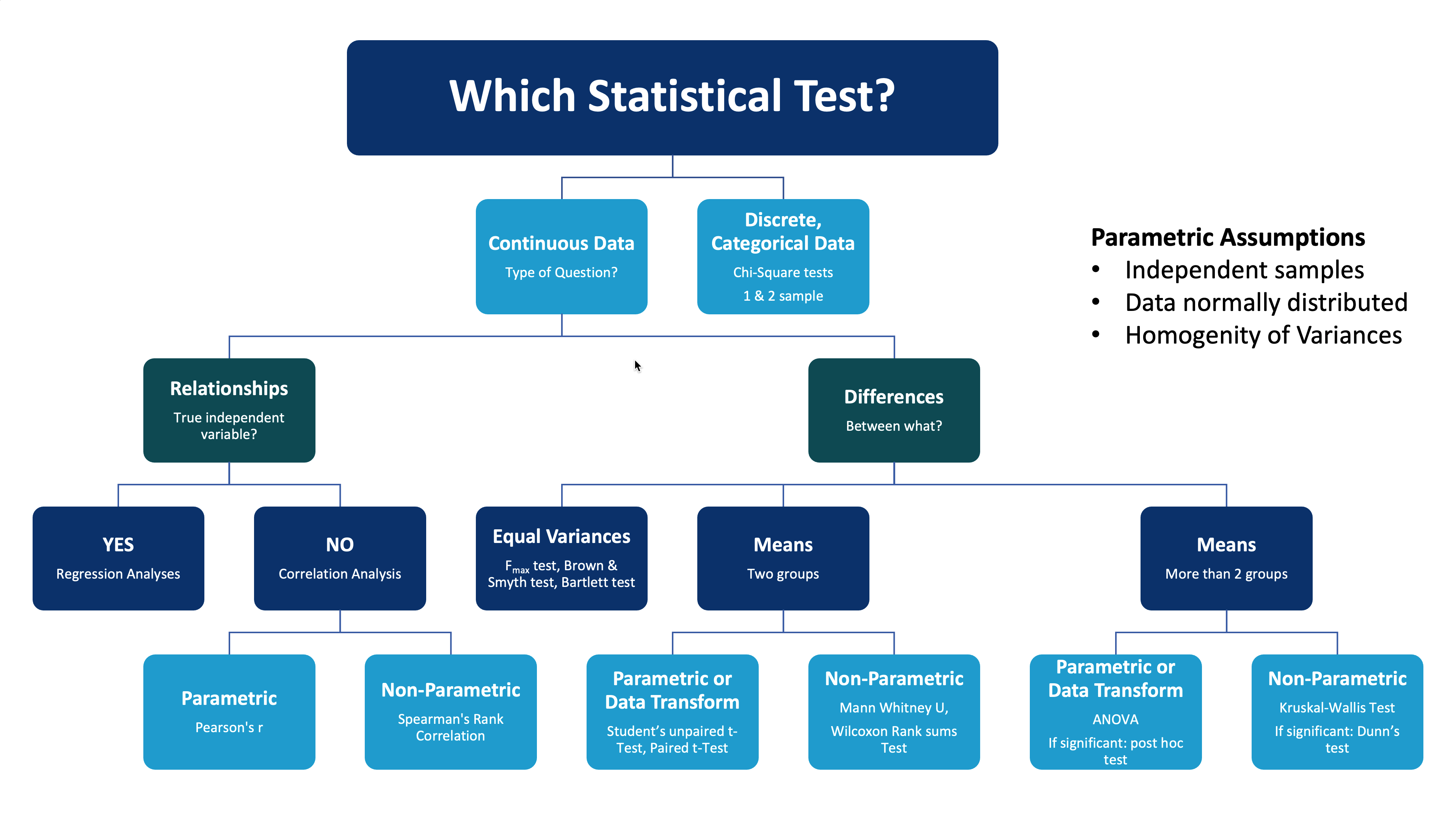 Post-40 Performance In Formula 1: A Statistical Analysis Post-40 Performance In Formula 1: A Statistical Analysis