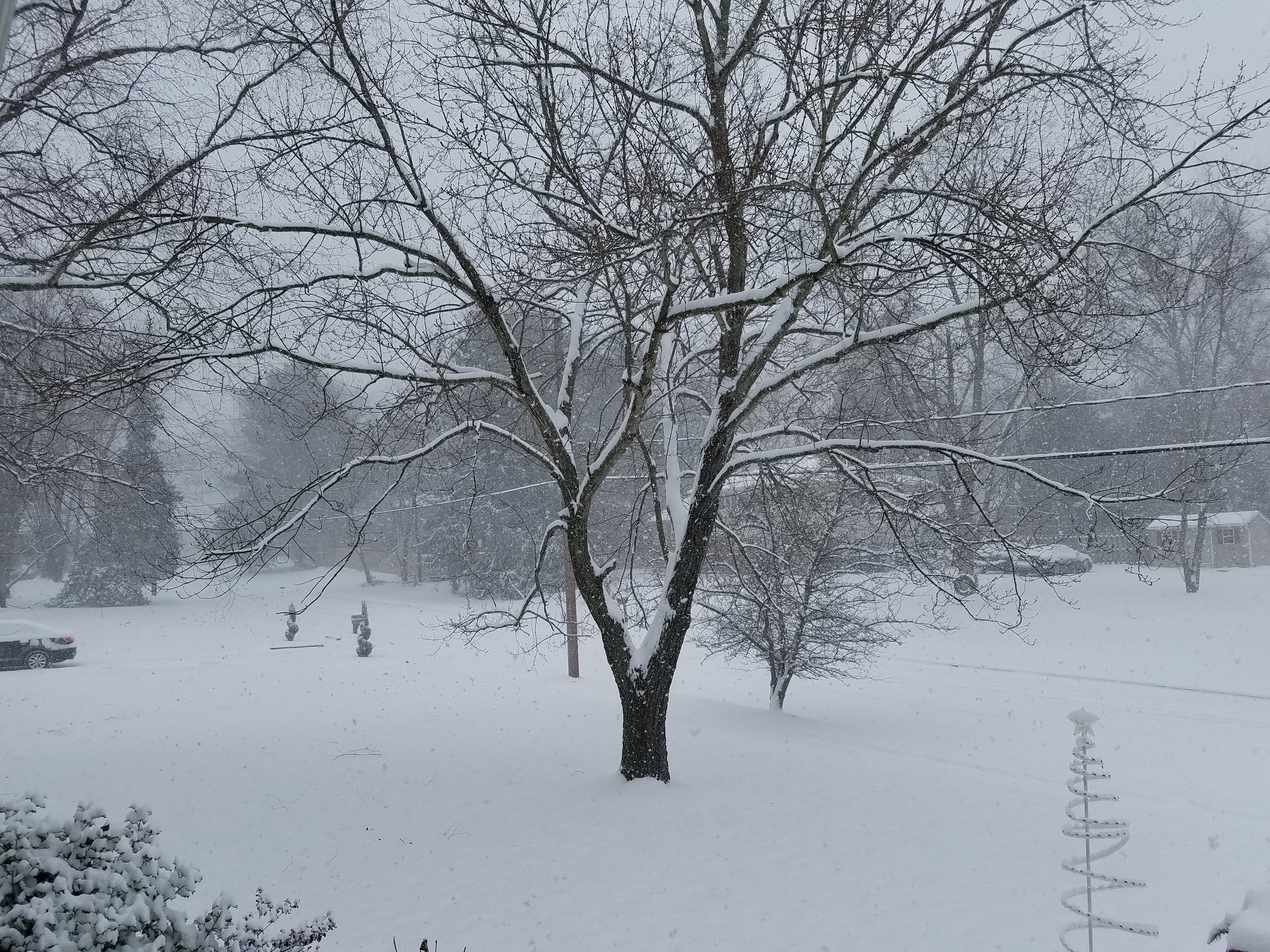 Prepare For The Cold: Four Inches Of Snow Possible Tuesday, Expect Bitterly Low Temperatures Prepare For The Cold: Four Inches Of Snow Possible Tuesday, Expect Bitterly Low Temperatures