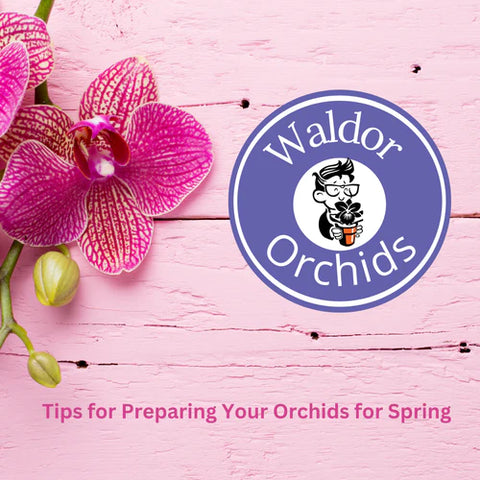 Preparing For Drier Weather: Essential Tips And Advice Preparing For Drier Weather: Essential Tips And Advice