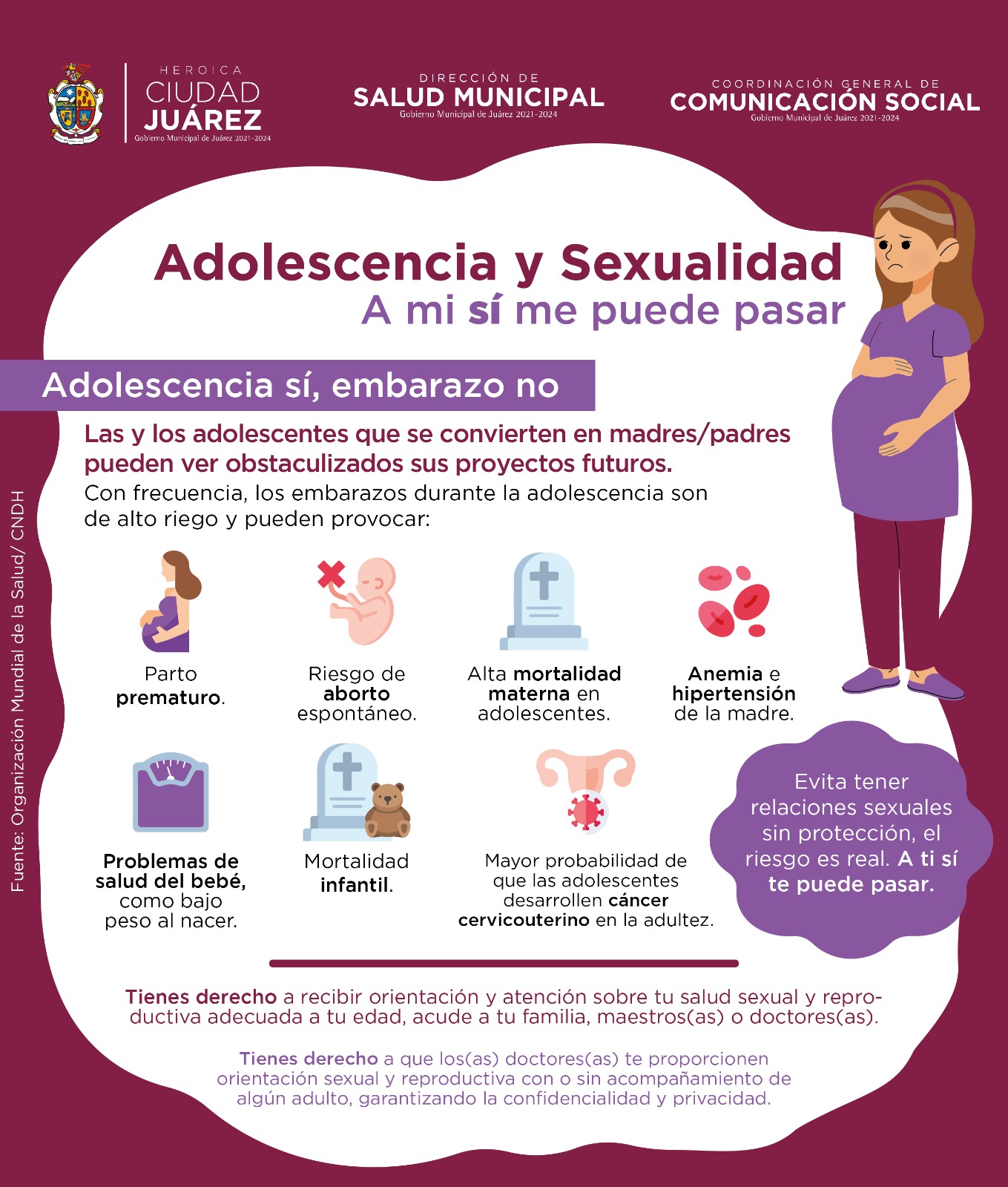 Prevenir La Estupidez: Estrategias Efectivas Prevenir La Estupidez: Estrategias Efectivas