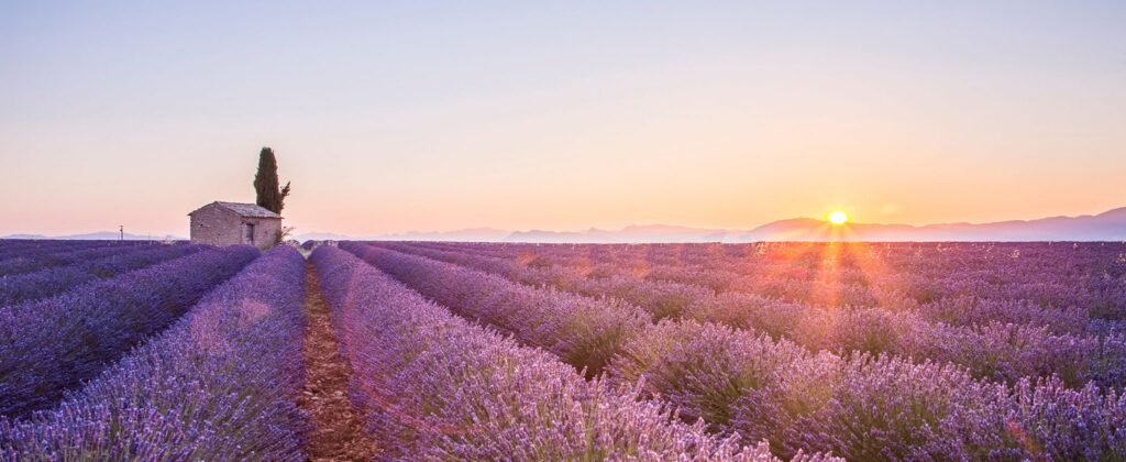 Provence Walking Tour: Mountains To Mediterranean Coast Provence Walking Tour: Mountains To Mediterranean Coast