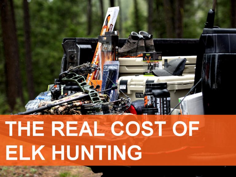 Public Comment Leads To Significant Reduction In Jackson Elk Hunt Public Comment Leads To Significant Reduction In Jackson Elk Hunt