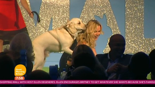 Public Outrage Over Amanda Holden's Dog Care Routine Public Outrage Over Amanda Holden's Dog Care Routine