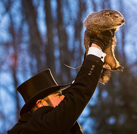 Punxsutawney Phil And Family Celebrate Baby's First Birthday Punxsutawney Phil And Family Celebrate Baby's First Birthday