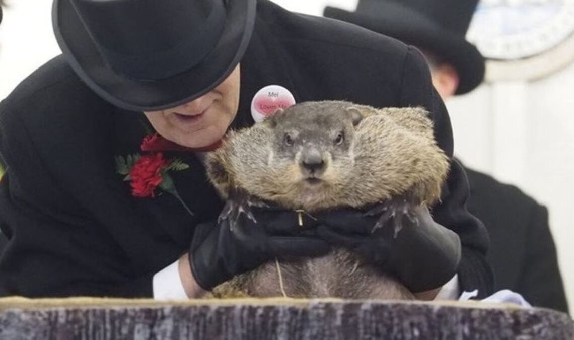 Punxsutawney Phil's Family Celebrates First Birthday Punxsutawney Phil's Family Celebrates First Birthday