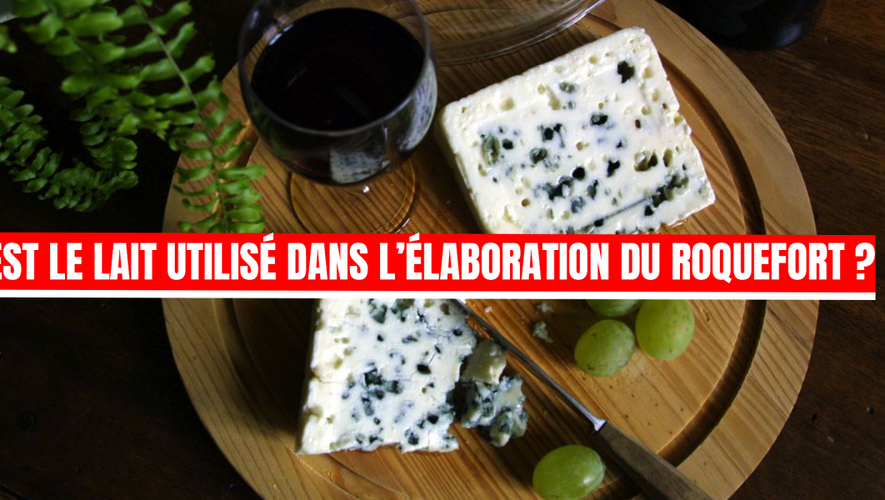 Quiz Loire-Atlantique : Testez Vos Connaissances Sur L'histoire, La Gastronomie Et La Culture Quiz Loire-Atlantique : Testez Vos Connaissances Sur L'histoire, La Gastronomie Et La Culture