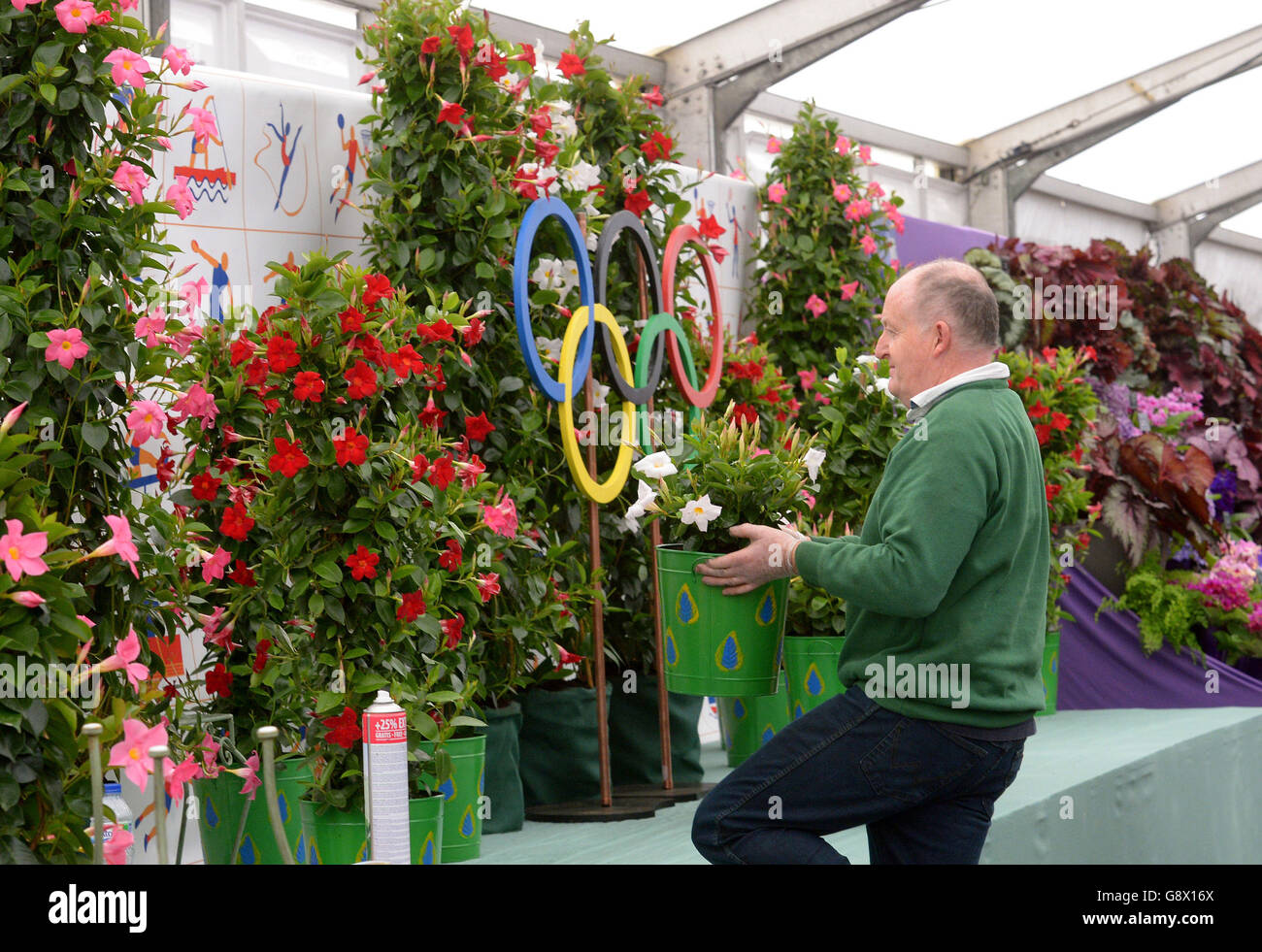 Record-Breaking 40,000 Predicted For Harrogate Spring Flower Show
