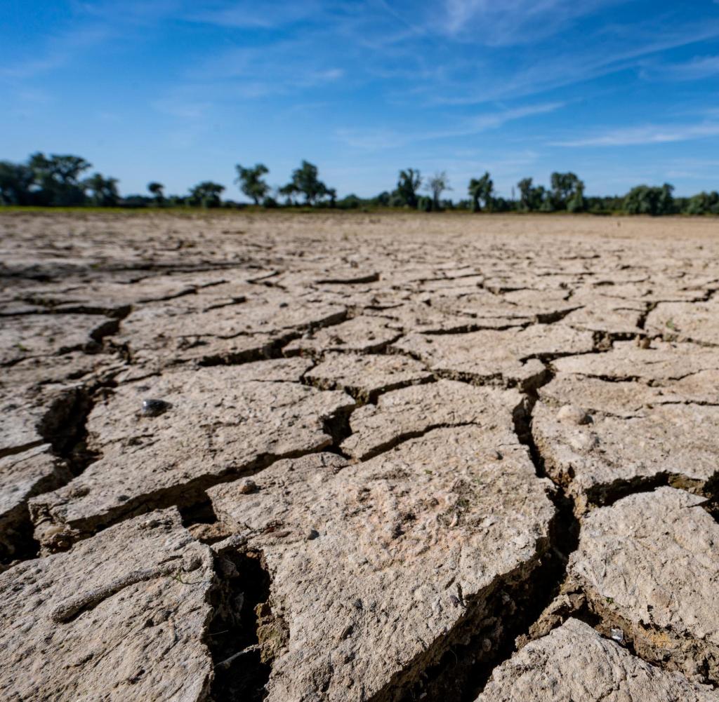 Regen Nur Punktuell: Deutschland Leidet Weiter Unter Trockenheit Regen Nur Punktuell: Deutschland Leidet Weiter Unter Trockenheit
