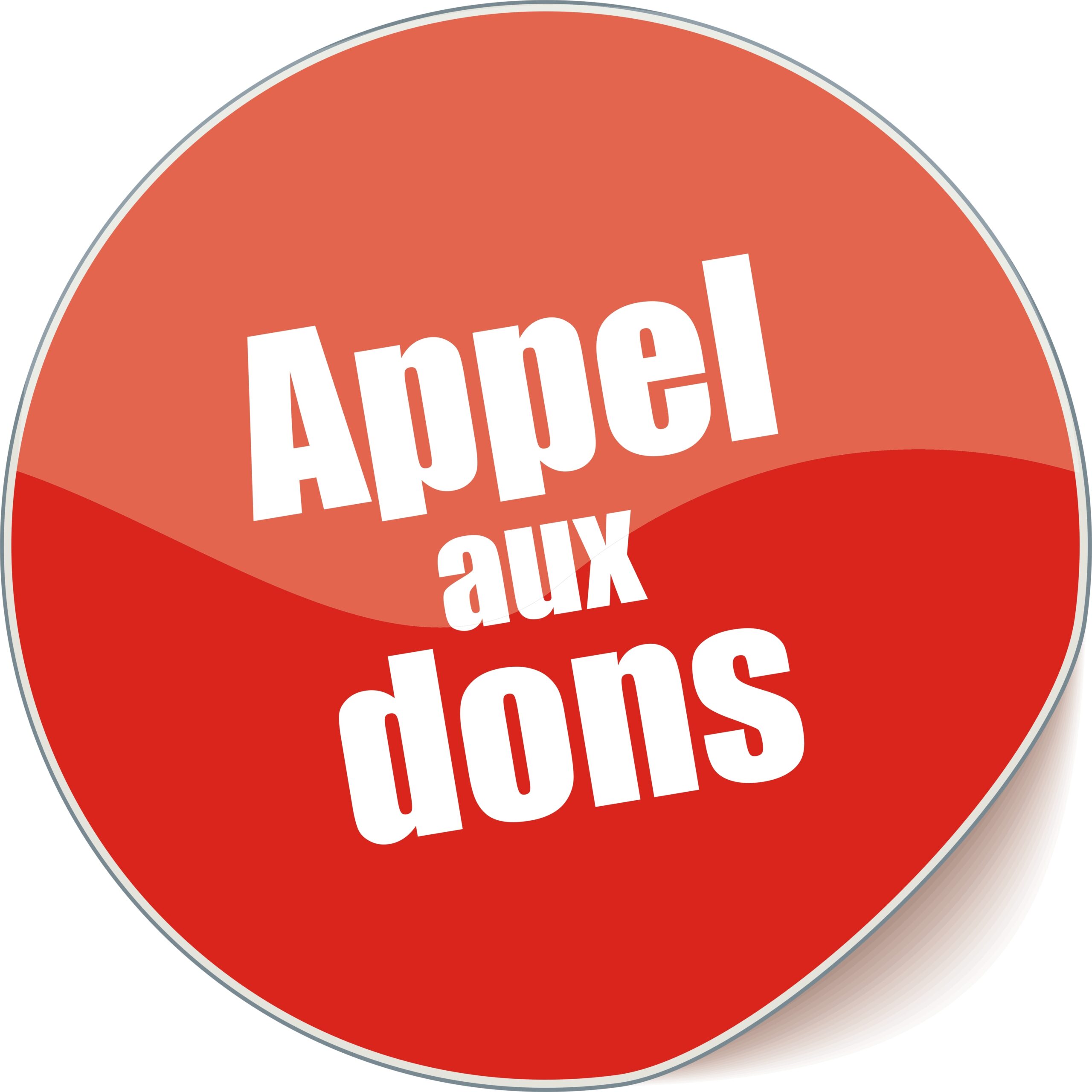 Restauration De Notre-Dame De Poitiers : Appel Aux Dons Restauration De Notre-Dame De Poitiers : Appel Aux Dons