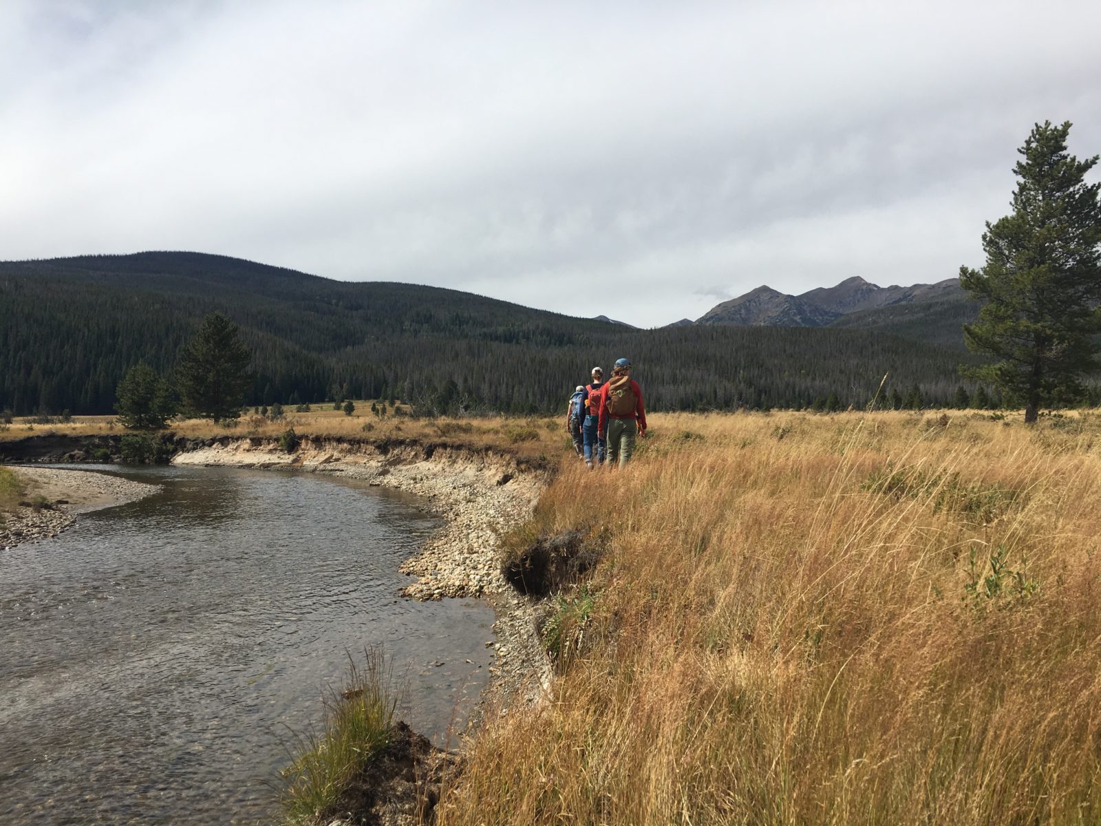 Revitalizing Otter Populations In Wyoming: A Critical Shift In Management Practices Revitalizing Otter Populations In Wyoming: A Critical Shift In Management Practices