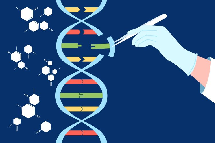 Revolutionizing Gene Therapy: The Promise Of Accurate CRISPR Modifications Revolutionizing Gene Therapy: The Promise Of Accurate CRISPR Modifications