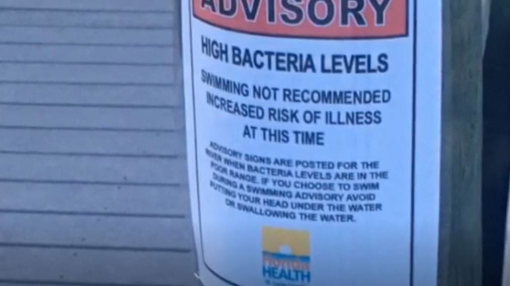 RFK Jr.'s Rock Creek Swim: High Bacteria Levels Ignored Amid Family Outing RFK Jr.'s Rock Creek Swim: High Bacteria Levels Ignored Amid Family Outing