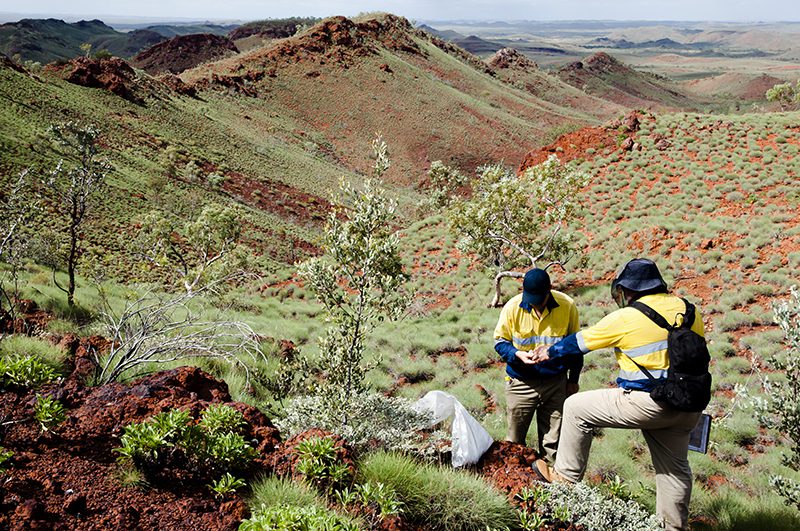 Rio Tinto And Andrew Forrest: Disagreement Over The Environmental Impact Of Pilbara Mining Rio Tinto And Andrew Forrest: Disagreement Over The Environmental Impact Of Pilbara Mining