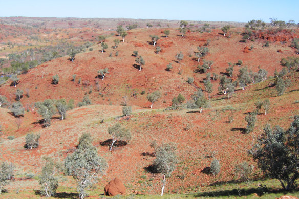 Rio Tinto Rebuttal: Addressing Andrew Forrest's Pilbara Rio Tinto Rebuttal: Addressing Andrew Forrest's Pilbara