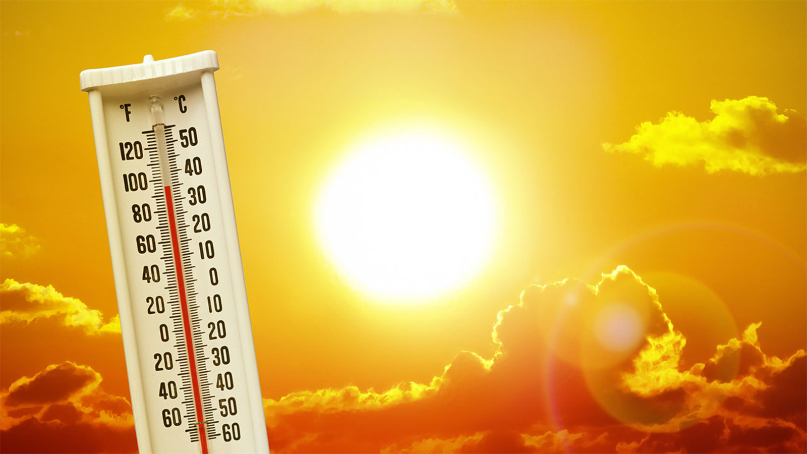 Rising Temperatures In Kolkata: March Weather Update Rising Temperatures In Kolkata: March Weather Update
