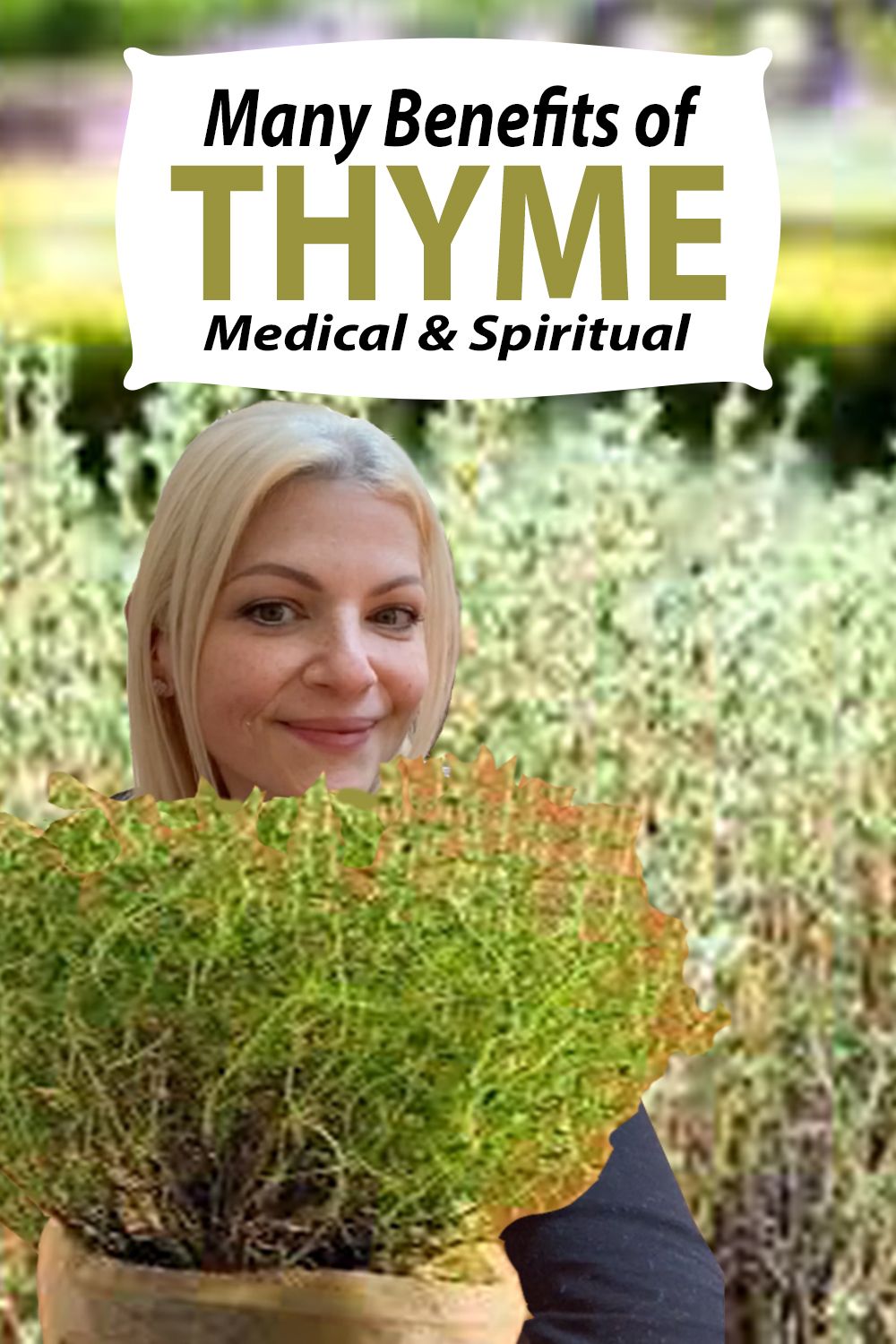 Rosemary & Thyme: Benefits, Properties, And Culinary Applications Rosemary & Thyme: Benefits, Properties, And Culinary Applications