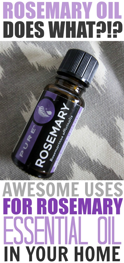 Rosemary & Thyme Essential Oils: Uses And Benefits Rosemary & Thyme Essential Oils: Uses And Benefits