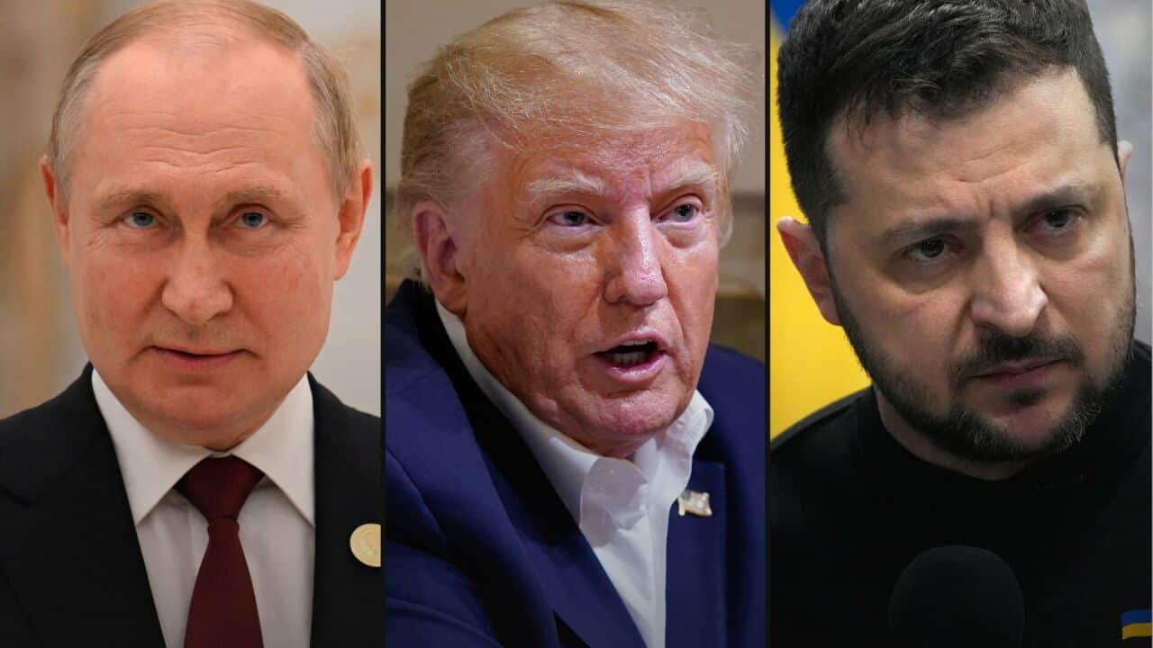 Russia-Ukraine Talks: Zelensky's Agreement After Trump's Involvement Russia-Ukraine Talks: Zelensky's Agreement After Trump's Involvement