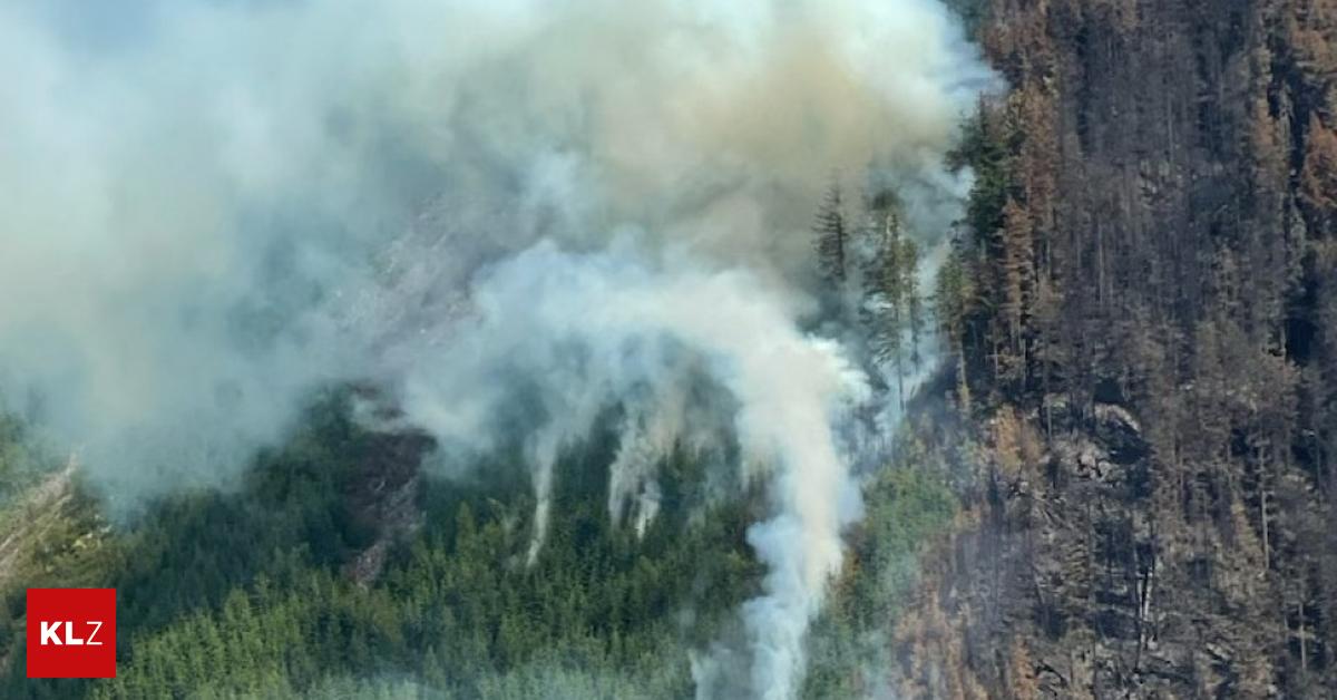 Sächsische Schweiz: Fortschrittliche Sensoren Im Kampf Gegen Waldbrände Sächsische Schweiz: Fortschrittliche Sensoren Im Kampf Gegen Waldbrände