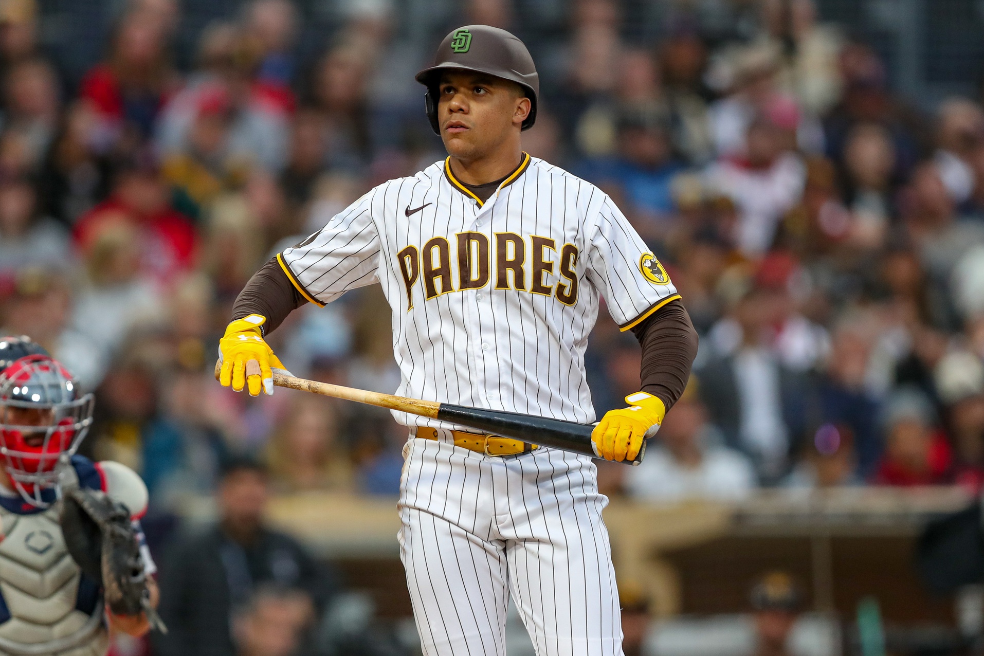 San Diego Padres Vs. New York Yankees Prediction: 7-Game Winning Streak On The Line San Diego Padres Vs. New York Yankees Prediction: 7-Game Winning Streak On The Line