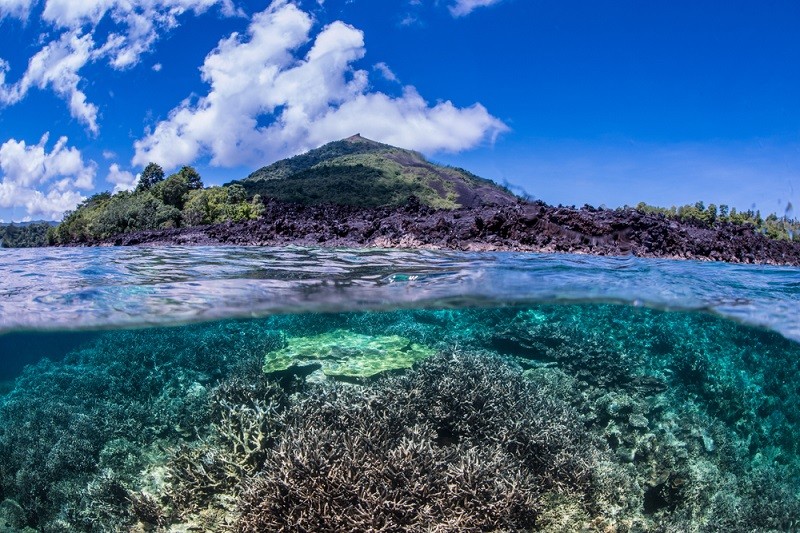 Sea Level Rise: Urgent Action Needed To Protect Coastal Areas Sea Level Rise: Urgent Action Needed To Protect Coastal Areas