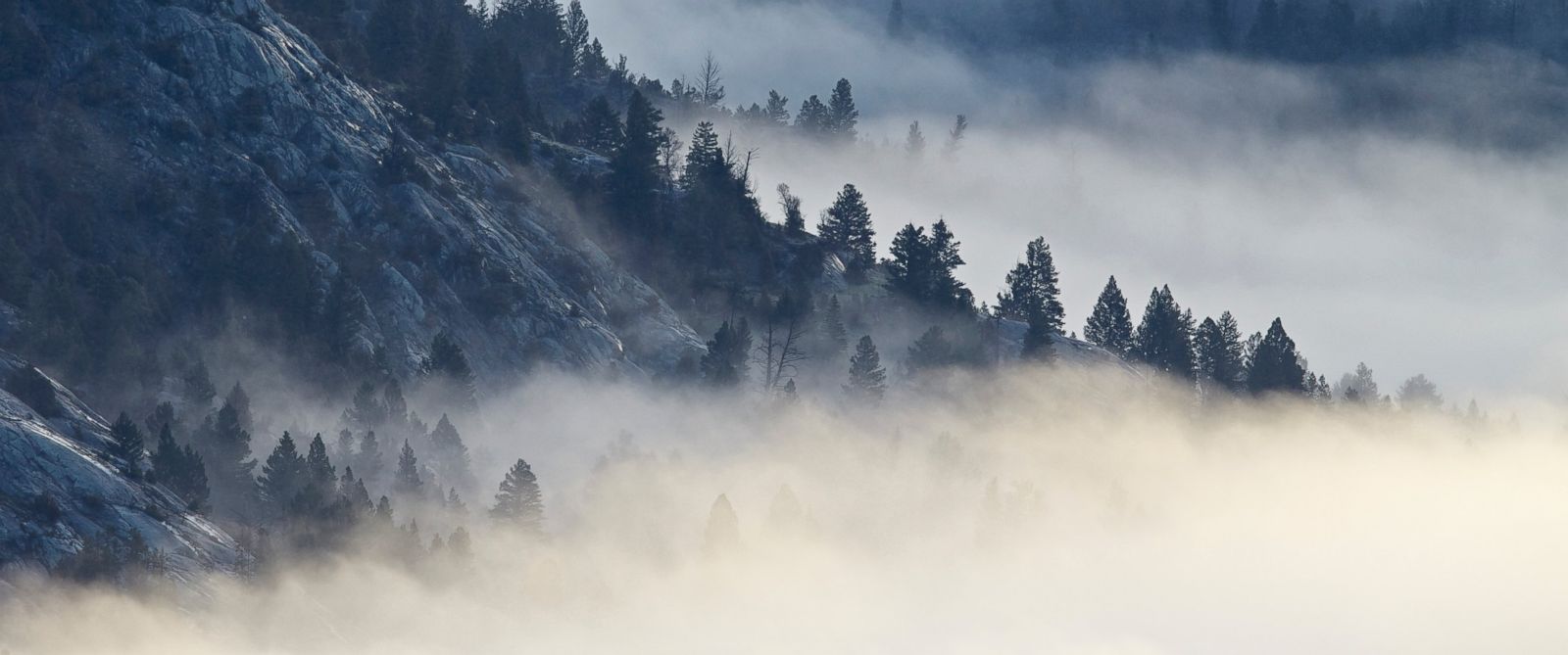 Seven Dead After Truck And Van Collision Near Yellowstone National Park Seven Dead After Truck And Van Collision Near Yellowstone National Park