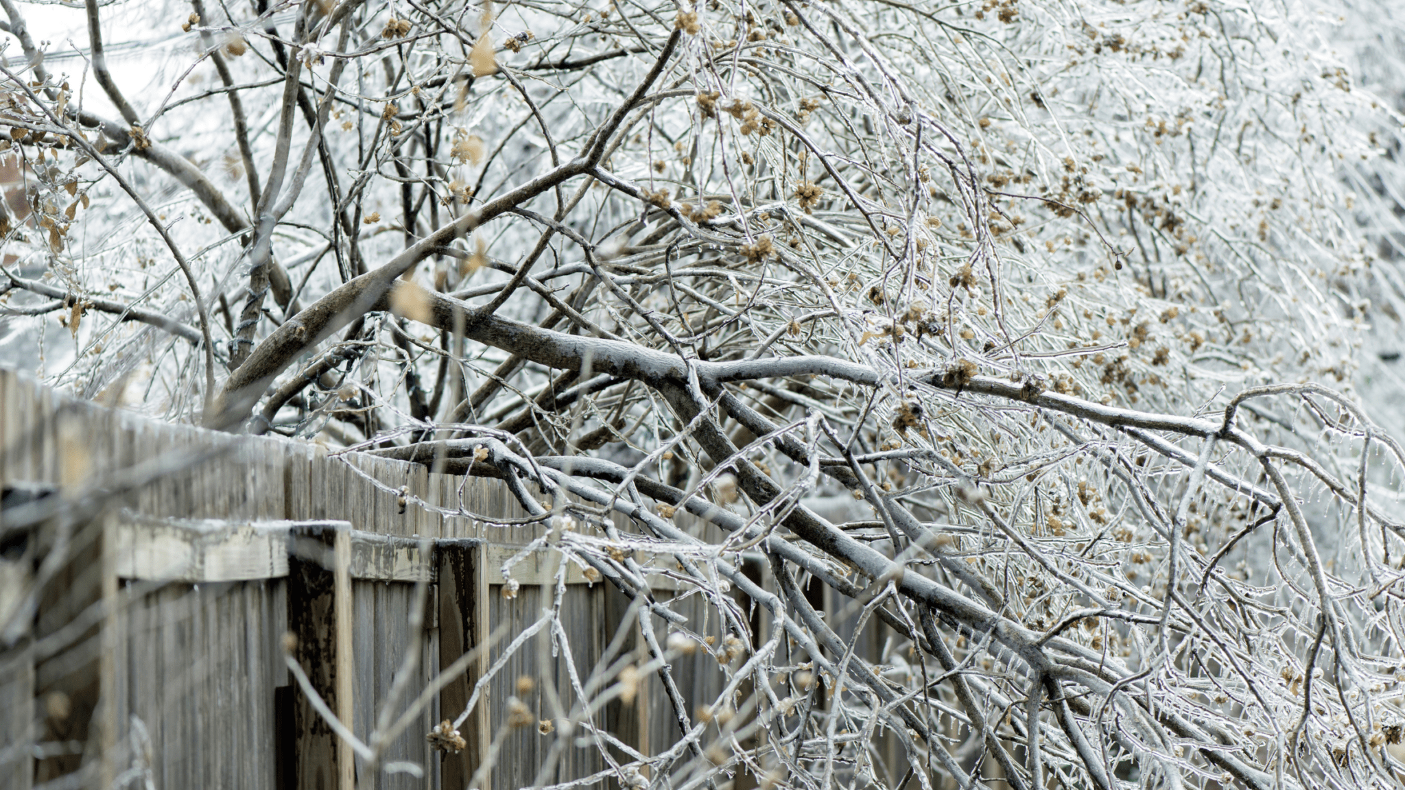 Severe Winter Weather Alert: Four Inches+ Of Snow And Bitter Cold Tuesday Severe Winter Weather Alert: Four Inches+ Of Snow And Bitter Cold Tuesday