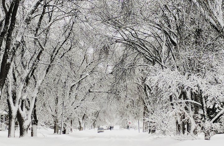 Significant Snowfall To Impact Western Manitoba On Tuesday Significant Snowfall To Impact Western Manitoba On Tuesday
