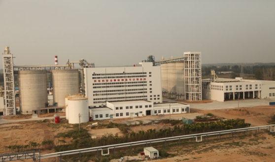 Sinograin Soybean Auction: Implications For China's Agricultural Market