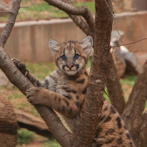 Spring Break Fun: OKC Parks Activities Guide