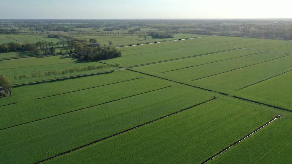 Steun Voor Koningshuis Stijgt Naar 59%: Eerste Toename In Jaren Steun Voor Koningshuis Stijgt Naar 59%: Eerste Toename In Jaren