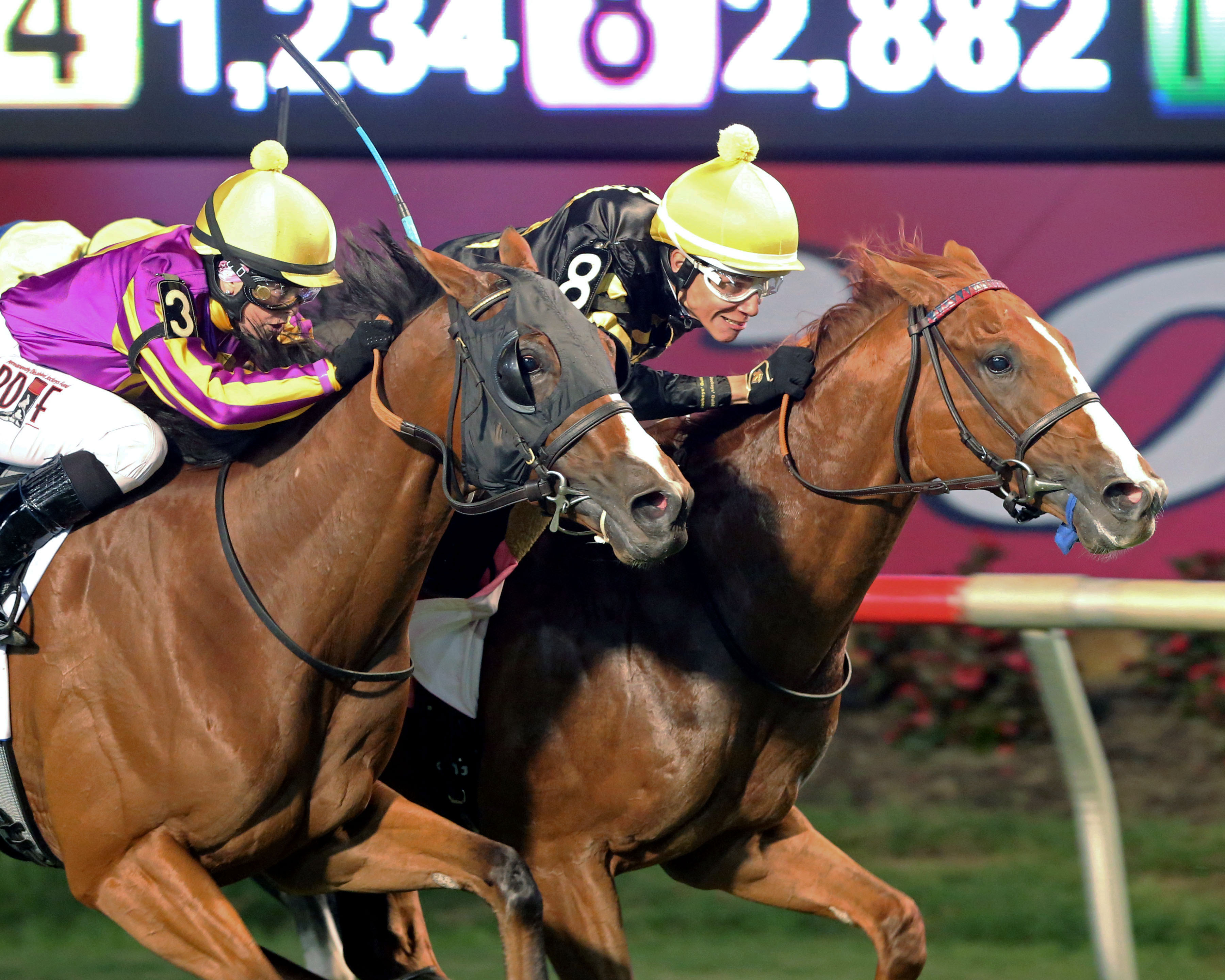 Stone's Big Announcement: Virginia Derby Coming To Colonial Downs Stone's Big Announcement: Virginia Derby Coming To Colonial Downs