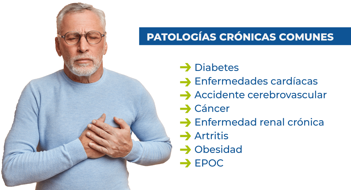 Supera Al Arándano: Este Superalimento Protege Contra Enfermedades Crónicas Y Promueve La Salud A Largo Plazo Supera Al Arándano: Este Superalimento Protege Contra Enfermedades Crónicas Y Promueve La Salud A Largo Plazo