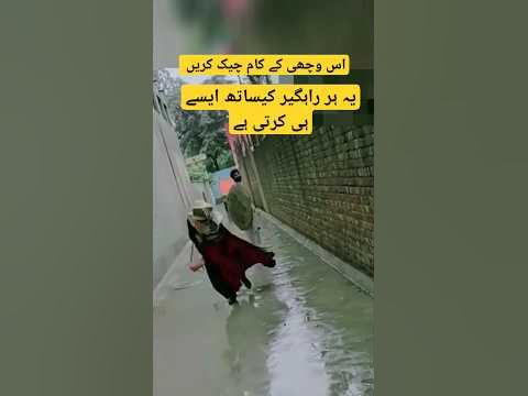 ٹام کروز کے جوتے پر چڑھنے والی مداح: واقعہ کی ویڈیو اور ردعمل کا جائزہ ٹام کروز کے جوتے پر چڑھنے والی مداح: واقعہ کی ویڈیو اور ردعمل کا جائزہ