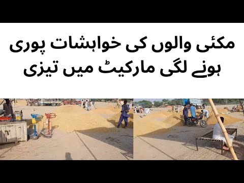 ٹام کروز کی ڈیٹنگ لائف: تازہ ترین اپڈیٹس ٹام کروز کی ڈیٹنگ لائف: تازہ ترین اپڈیٹس