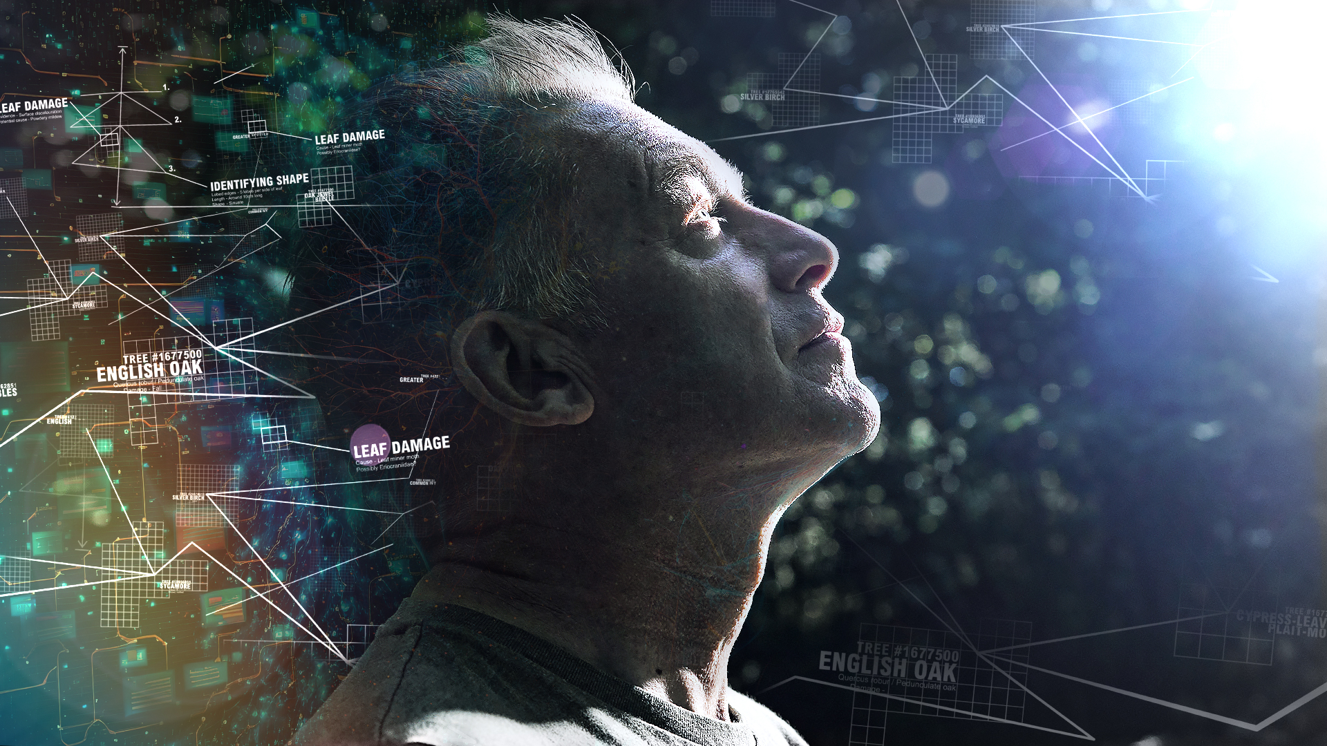 The Complexities Of ADHD: Delving Inside Our ADHD Minds The Complexities Of ADHD: Delving Inside Our ADHD Minds