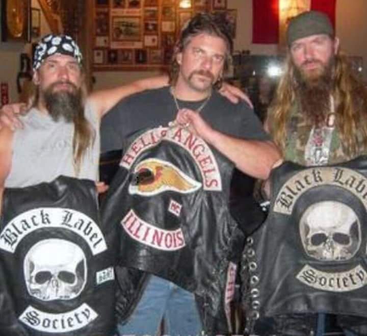The Culture And Organization Of The Hells Angels