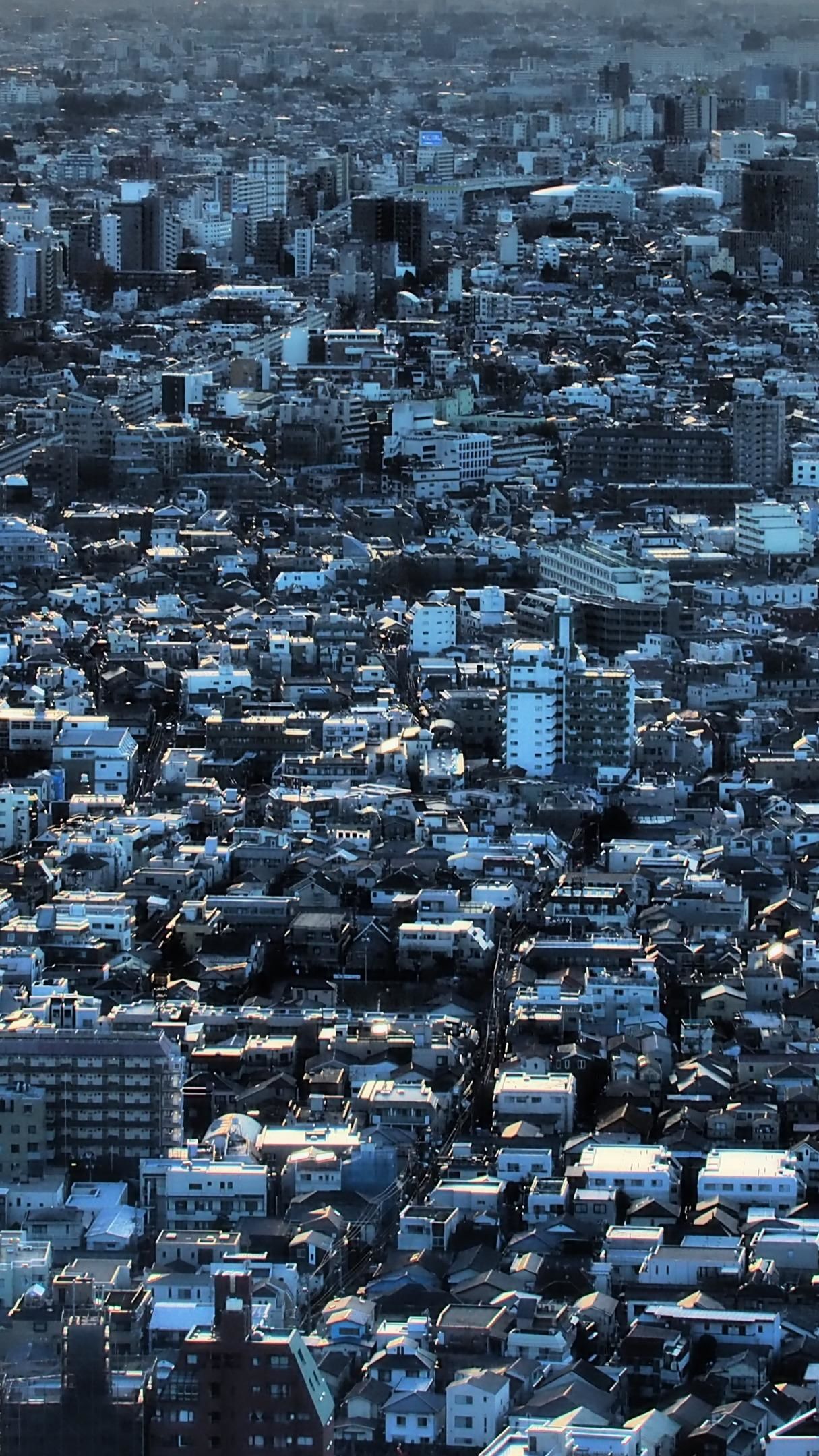 The Environmental Concerns Of Japan's Metropolis The Environmental Concerns Of Japan's Metropolis