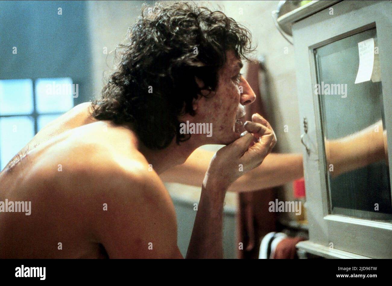 The Fly (1986): Jeff Goldblum's Performance And Its Oscar Snub The Fly (1986): Jeff Goldblum's Performance And Its Oscar Snub