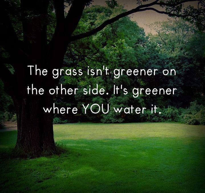 The Grass Isn't Always Greener: A Move From The US To Germany The Grass Isn't Always Greener: A Move From The US To Germany