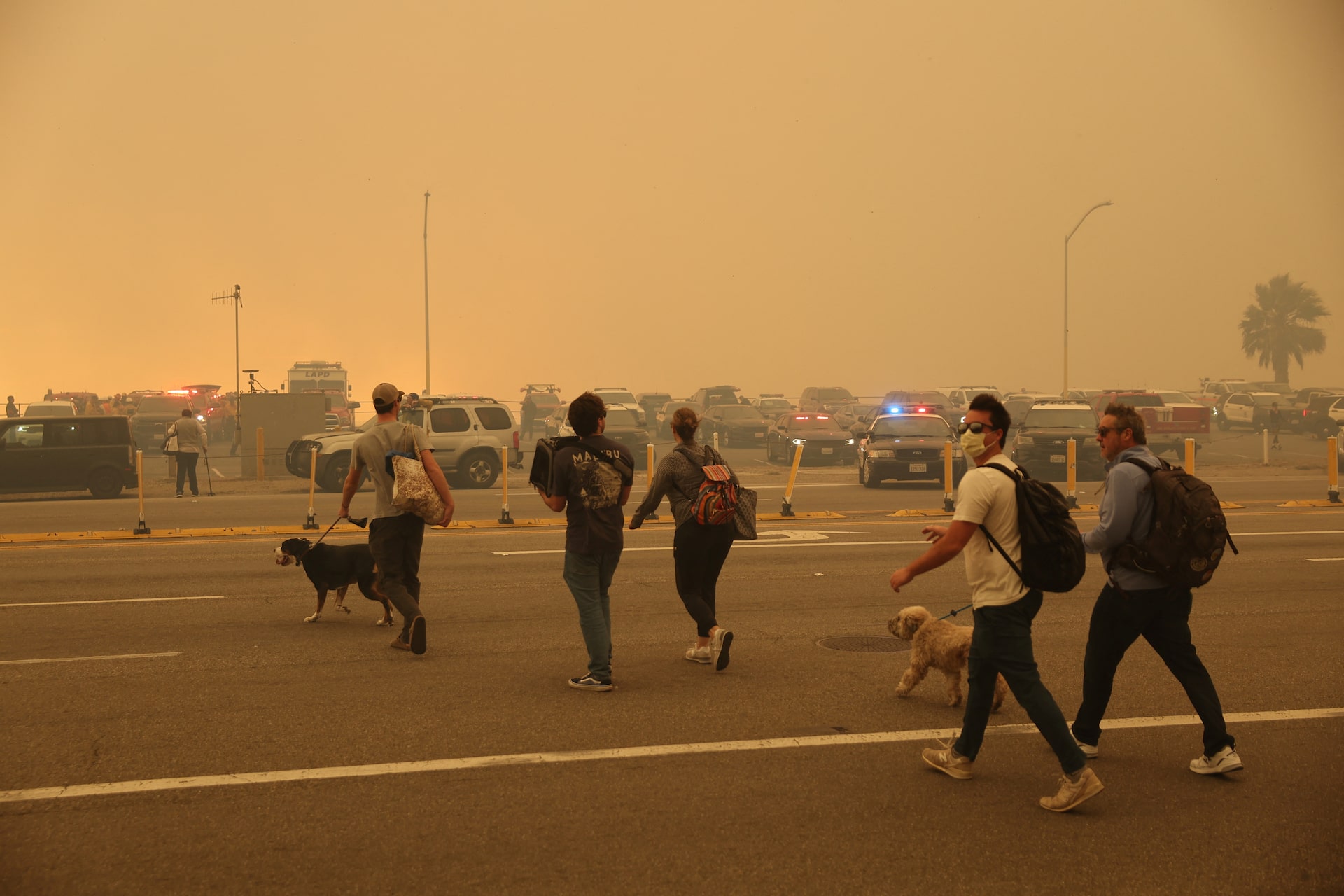 The Growing Trend Of Betting On The Los Angeles Wildfires The Growing Trend Of Betting On The Los Angeles Wildfires