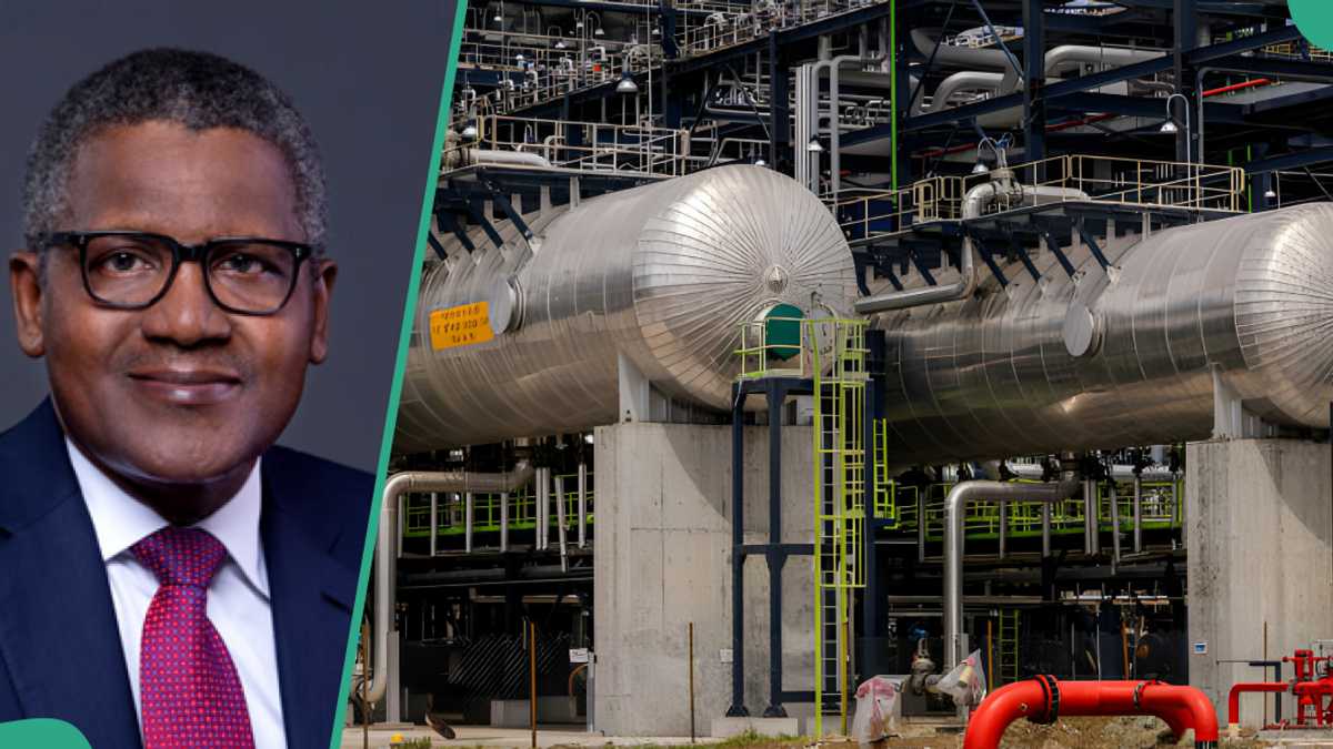 The Impact Of Dangote On NNPC's Petrol Pricing Strategy (THISDAYLIVE) The Impact Of Dangote On NNPC's Petrol Pricing Strategy (THISDAYLIVE)