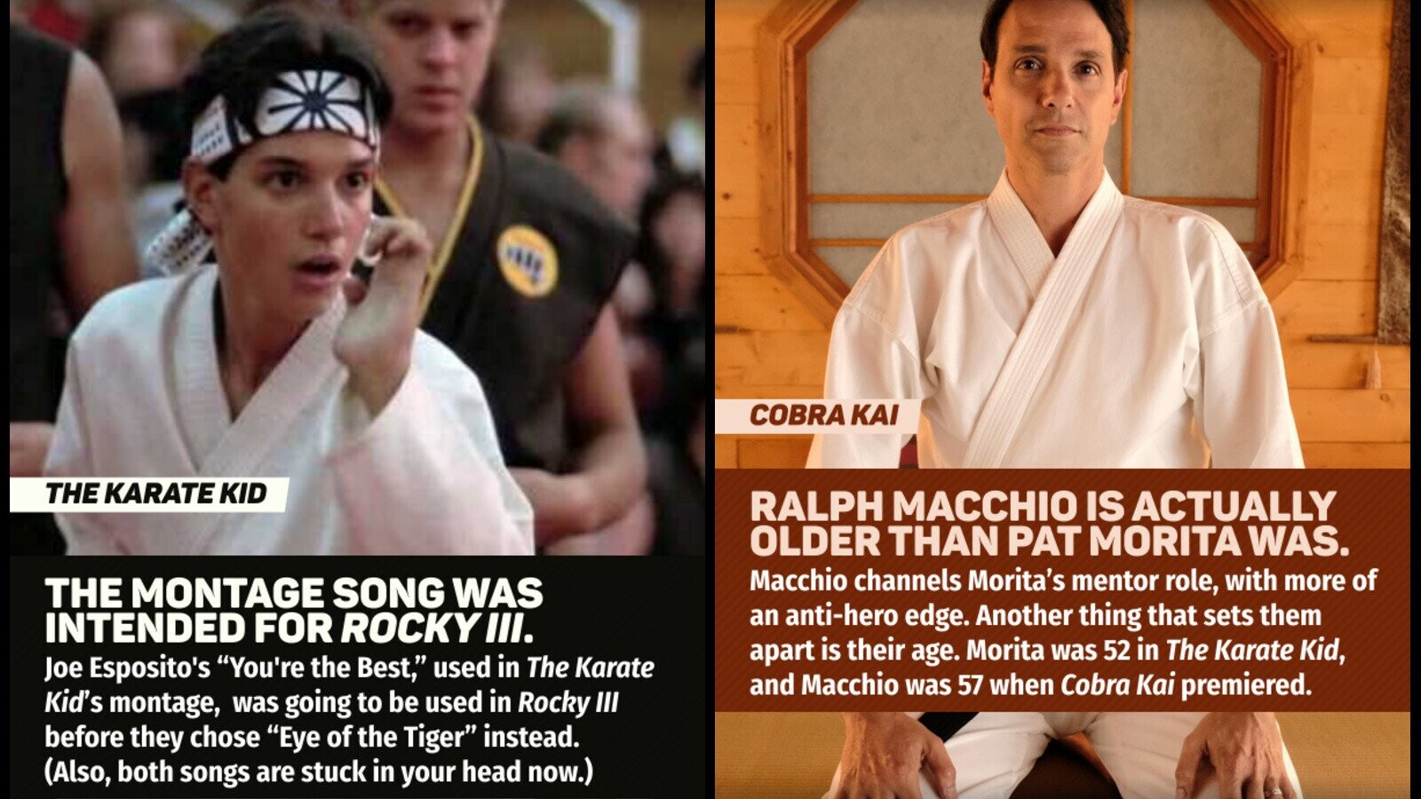 The Karate Kid: From Movie To Franchise: A Look At Its Evolution The Karate Kid: From Movie To Franchise: A Look At Its Evolution