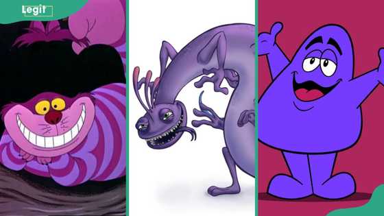The Most Popular Female Characters In The Pokémon Universe The Most Popular Female Characters In The Pokémon Universe