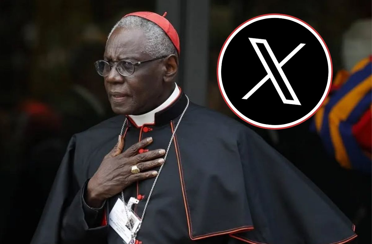 The Next Papal Election: Exploring Potential Successors To Pope Francis The Next Papal Election: Exploring Potential Successors To Pope Francis