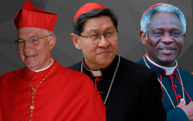 The Next Pope: Analyzing Potential Candidates To Replace Pope Francis The Next Pope: Analyzing Potential Candidates To Replace Pope Francis