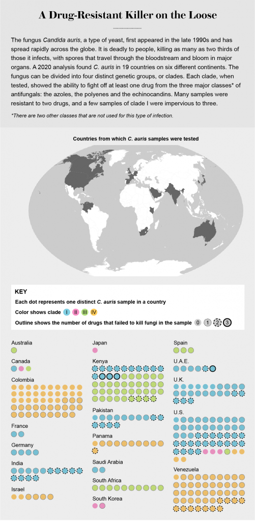 The Next Superbug Threat: The Rise Of Deadly Fungi The Next Superbug Threat: The Rise Of Deadly Fungi