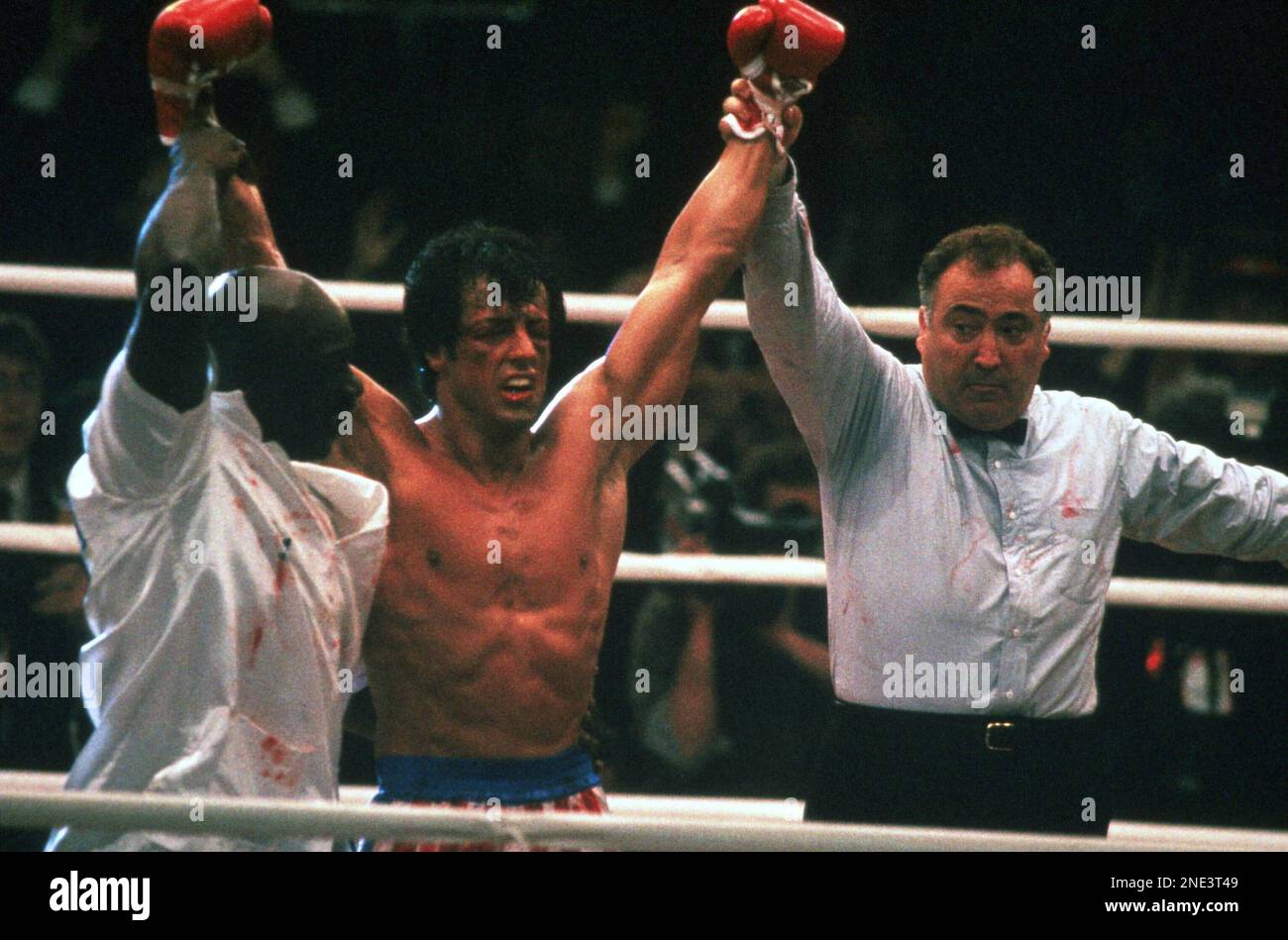 The One Movie Sylvester Stallone Directed But Didn't Star In: A Box Office Bomb The One Movie Sylvester Stallone Directed But Didn't Star In: A Box Office Bomb