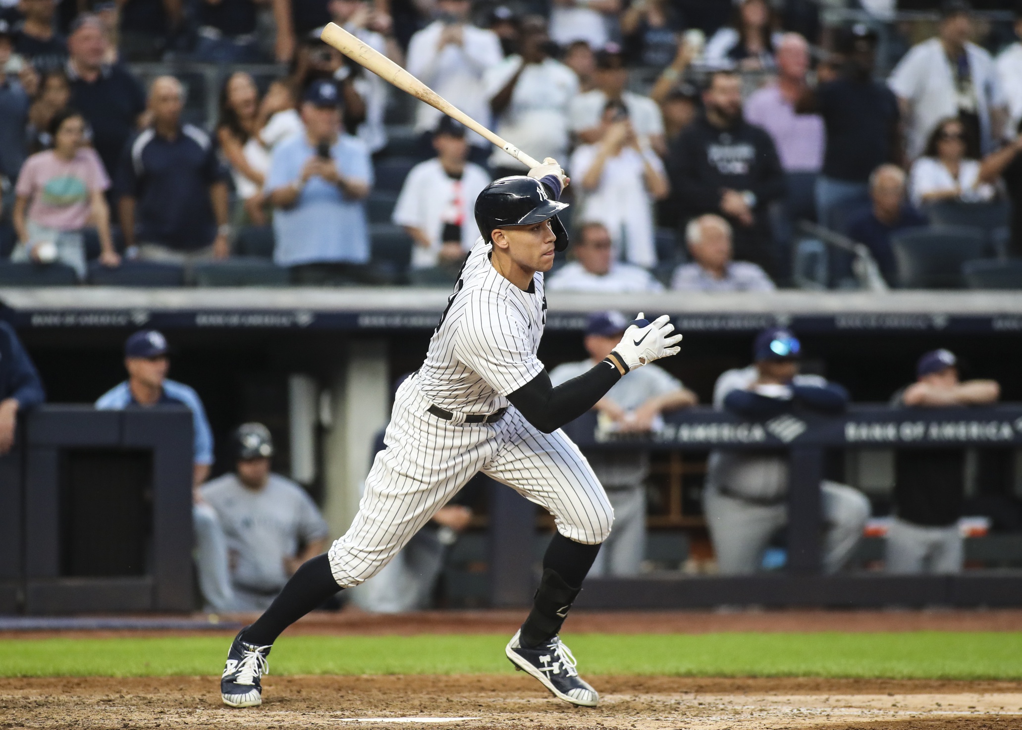 The Optimal Times To Issue An Intentional Walk To Aaron Judge The Optimal Times To Issue An Intentional Walk To Aaron Judge
