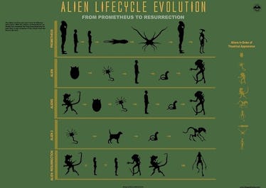 The Prediction Of Alien Life: Exploring New Non-Xenomorph Species On Earth The Prediction Of Alien Life: Exploring New Non-Xenomorph Species On Earth